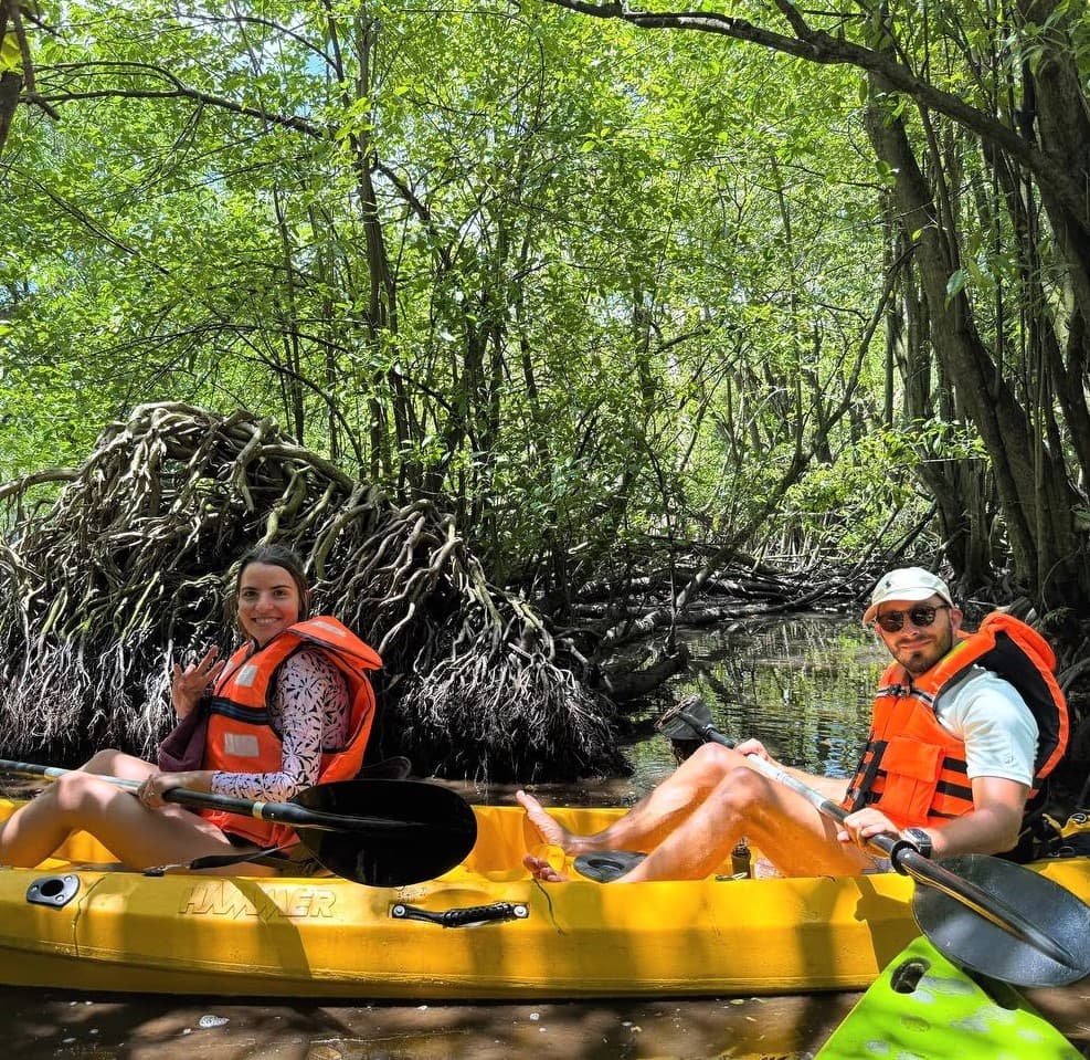 Kayaker exploring mangrove channels in Mawella Lagoon Tangalle Sri Lanka