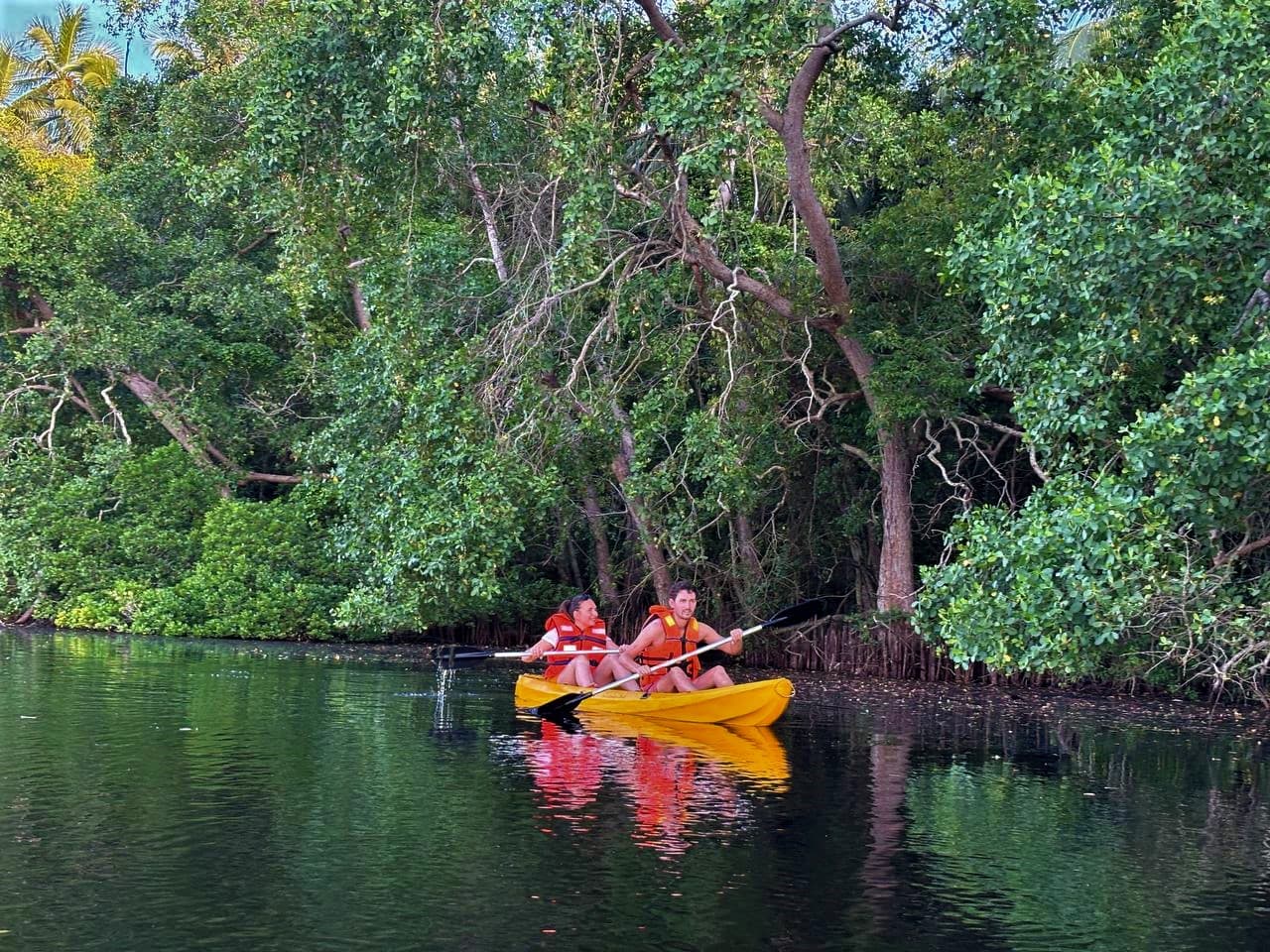 Kayak House background