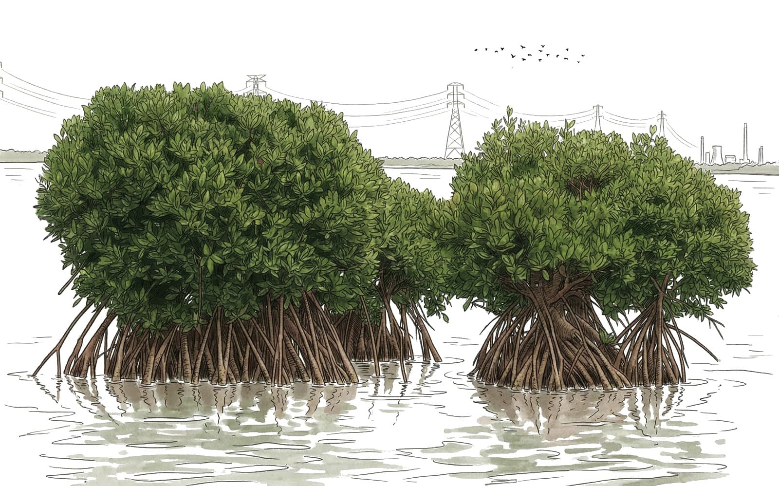 Illustration of a kayak ready to launch