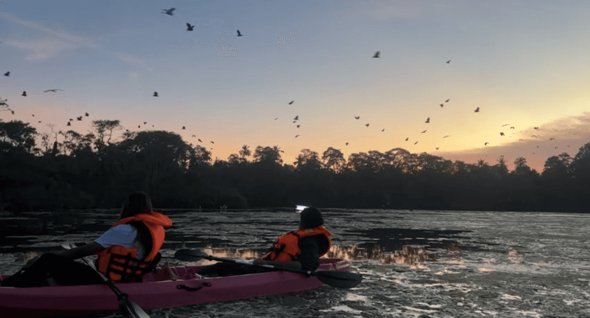 Kayaking through mangrove channels in Mawella Lagoon with birds and wildlife in Tangalle Sri Lanka